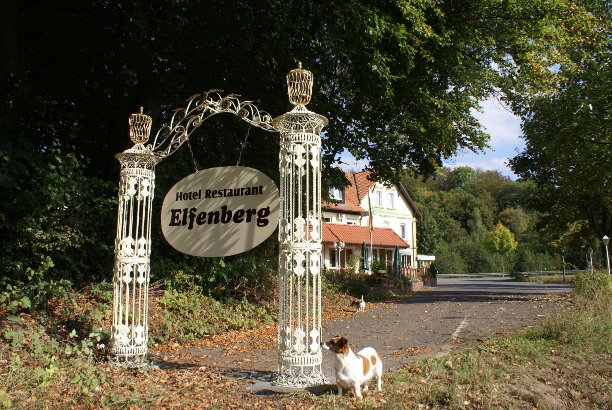Hotel Elfenberg 슈나이더슈발렌베르크 외부 사진