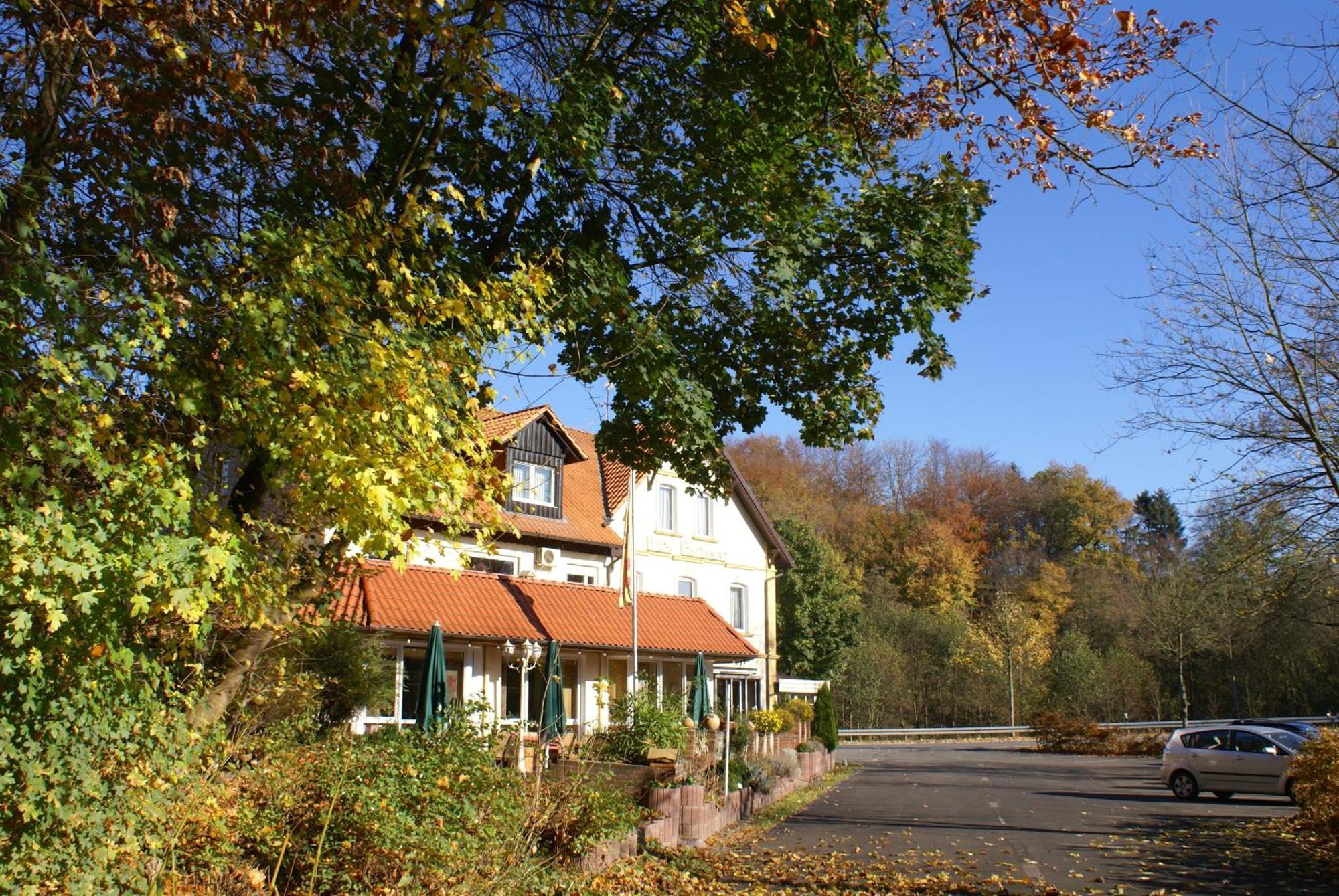 Hotel Elfenberg 슈나이더슈발렌베르크 외부 사진