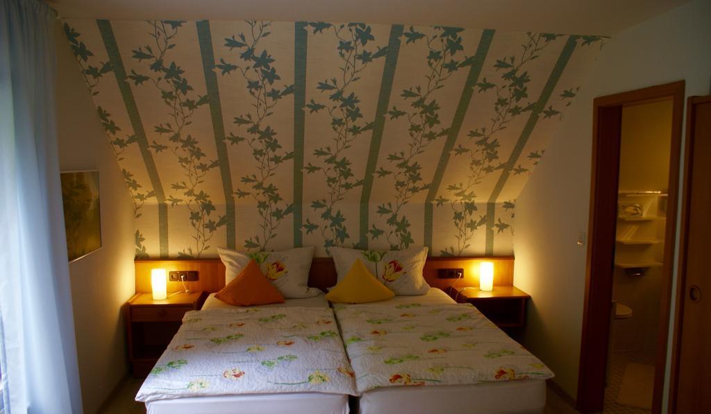 Hotel Elfenberg 슈나이더슈발렌베르크 외부 사진